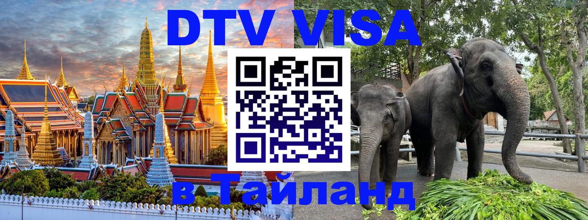 Сколько стоит DTV виза — актуальные цены, оформление даже без документов - Златоуст  21.11.2025 